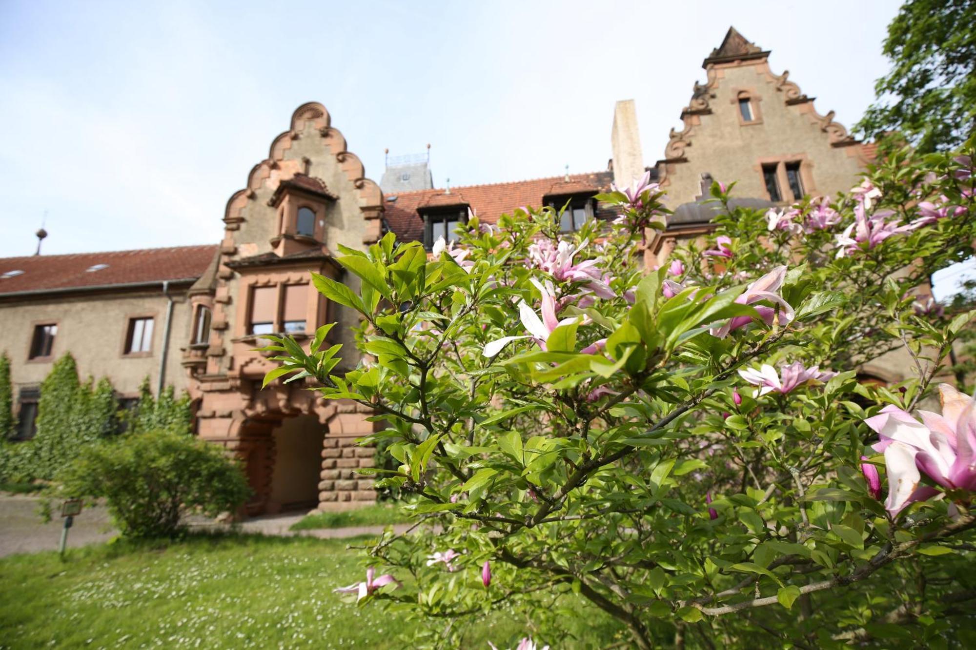 Veltheimsburg Hotel Bebertal Kültér fotó