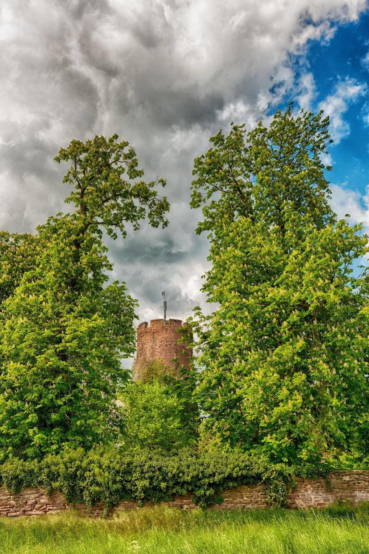 Veltheimsburg Hotel Bebertal Kültér fotó